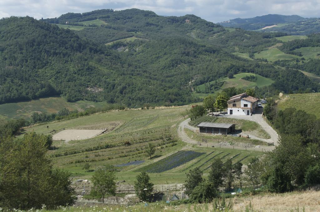 B&B Villa Rossana Langhirano Exteriör bild